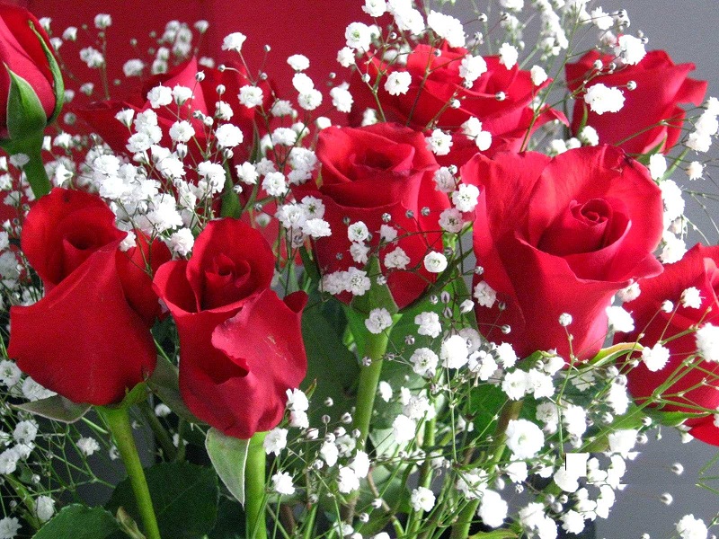 Perfect wedding anniversary flowers Of Flower Boutique line Flower Delivery in India